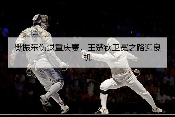 fan-zhen-dong-shang-tui-chong-qing-sai-wang-chu-qin-wei-mian-zhi-lu-ying-liang-ji-2-714.jpg